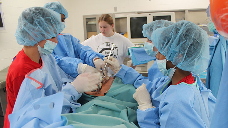Young students observing a surgery